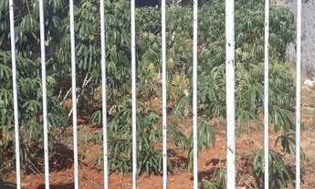 Imagem 5: Terreno bairro Jd Pérola