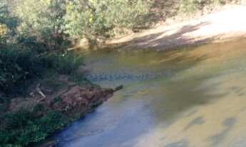 Imagem: Vendo chácaras financiadas