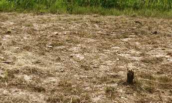 Imagem 6: Vendo terreno de 1000m² próximo a Guarulhos