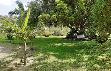 Imagem 7: Felicidade do Campo na Praia