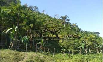 Imagem 6: Lindo Sítio na Vila Antartica em Mongaguá - São Paulo