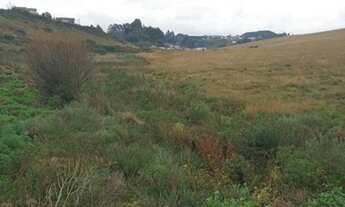Imagem 4: Lote/Terreno para venda com 160 metros quadrados em Centro - São Joaquim - SC