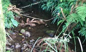 Imagem 3: Sítio / Chácara para Venda em Gramado, Serra Grande