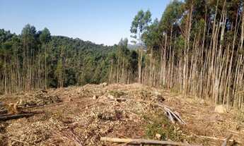 Imagem 2: Lote/Terreno para venda com 2500 metros quadrados em centro - Salesópolis - São Paulo