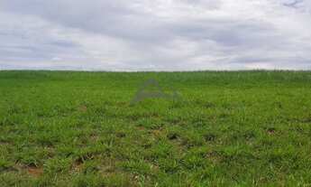 Imagem 3: Terreno - Loteamento Residencial Entre Verdes (Sousas) - Campinas