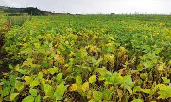 Imagem: Fazenda à venda, 1137400 m² por R$ 13.500.000,00