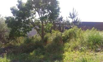 Imagem 4: Caxias do Sul - Terreno Padrao - Cinquentenario