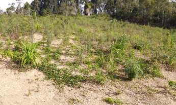 Imagem 7: Chácara Barra das Cruzes Bocaiúva do Sul - PR