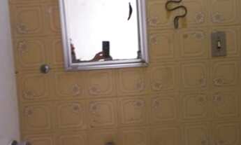 Imagem 4: Kitnet/conjugado para aluguel com 20 metros quadrados com 1 quarto em Setor Central - Goiâ