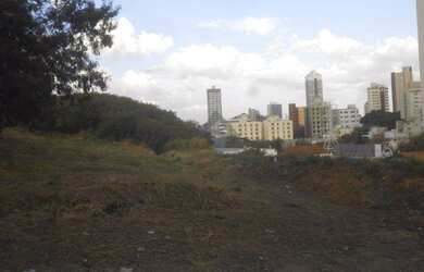 Imagem 2: área - Taquaral - Campinas