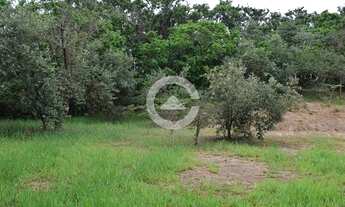 Imagem 3: Terreno - Sousas - Campinas