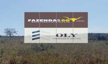 Imagem 4: Fazenda Extra - 206 alqueires - Pontal do Araguaia - MT ! Dupla aptidão !