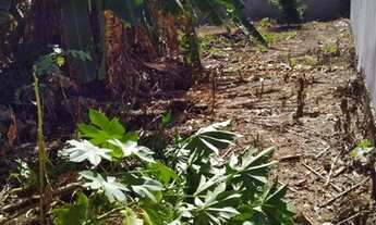 Imagem 4: Vendo lote em Palmas - Tocantins, na 605 sul (ARSO 62) - Oportunidade!!!