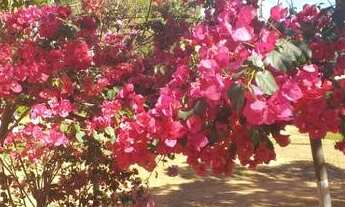 Imagem 3: Rancho em Cascalho Rico, completo,área de lazer,29 mil metros,R$1.200.000,00