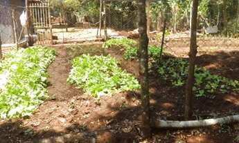 Imagem 2: Chácara a venda na cidade de Londrina PR