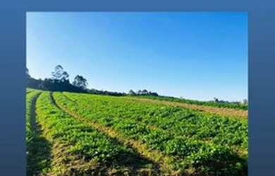 Imagem 7: Terreno em Ibiúna com Fácil Acesso a Cotia SP