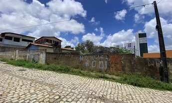 Imagem 4: Venda Terreno na Avenida Presidente Quaresma com 2.981 Metros Quadrados Cod TE 0273