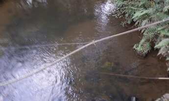 Imagem 5: Chácara Barra das Cruzes Bocaiúva do Sul - PR