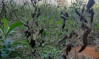 Imagem 4: Lote/Terreno para venda tem 125 metros quadrados em Residencial Jatobá - São José dos Camp