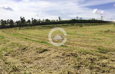 Imagem 3: Terreno - Sousas - Campinas