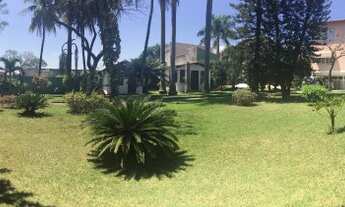 Imagem: Oportunidade única de empreender