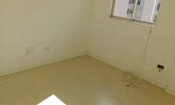 Imagem 4: Ape- Saldanho Marinho