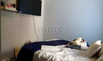 Imagem 7: SAO PAULO - Casa Padrão - CAMBUCI