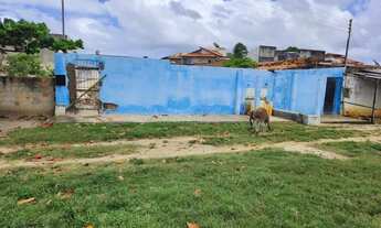 Imagem 4: Terreno na praia do refúgio