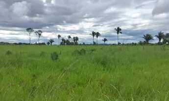 Imagem: Vende-se Fazenda São Pedro, 1107 ha - Documentação