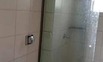 Imagem 2: Ape- Saldanho Marinho