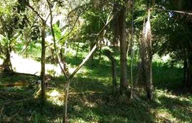 Imagem 3: Sítio, Paiol do Meio, São Lourenço da Serra - R$ 2.200.000,00, 22.250m² - Codigo: 2883