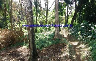 Imagem 5: Sitio vendo Ilhabela no sul São Pedro