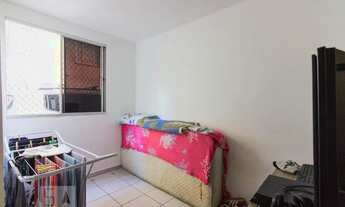 Imagem 7: Apartamento para Aluguel - Piqueri, 3 Quartos, 60 m2