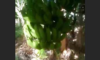 Imagem 3: Terreno Terreno / lote com venda por R$120.000