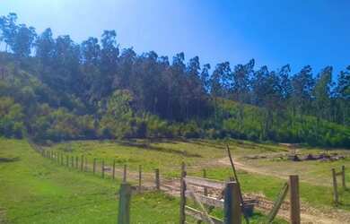 Imagem 6: Lote de 600m² em região de constante crescimento e valorização