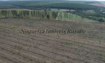 Imagem 7: Sítio com 13 alqueires, frente com a Castelo (Nogueira Imóveis Rurais