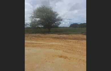 Imagem 7: Terreno na cidade jardim - buriti