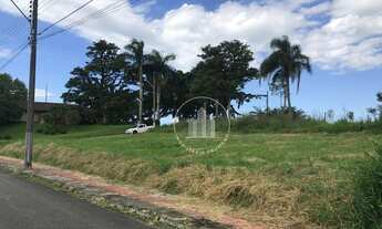 Imagem 6: Terreno à venda, 597 m² por R$ 750.000,00 - Cidade Universitária Pedra Branca - Palhoça/SC