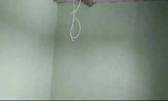 Imagem 5: Aluga-se uma casa