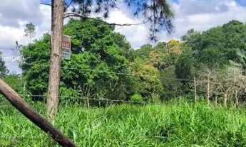 Imagem 7: Terreno em São Lourenço da Serra
