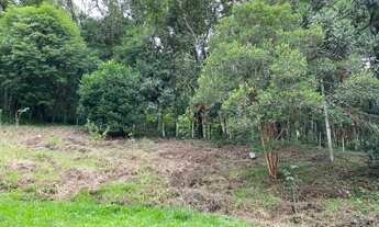 Imagem 4: Sítio na Linha Temerária em Nova Petrópolis!