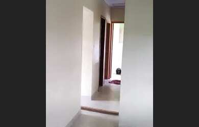 Imagem 4: Aluguel Casa com 2 dormitórios