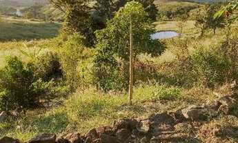 Imagem 5: Vendo um pedacinho no paraíso. Terreno de 1000 m