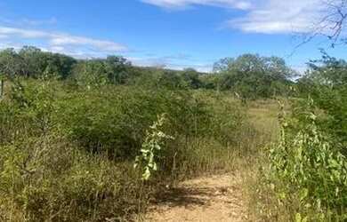 Imagem 2: Terreno em camarinhas 5000 metros