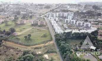 Imagem 3: Terreno em rua - Bairro Colônia Dona Luíza em Ponta Grossa