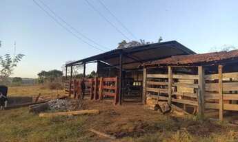 Imagem 3: Lindíssima Chácara com 1,5 Alqueires em Hidrolândia