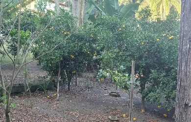 Imagem 6: Fazenda/Sítio/Chácara com 110 metros quadrados com 4 quartos