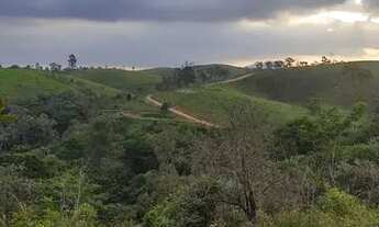 Imagem: C- Lotes limpos e demarcados