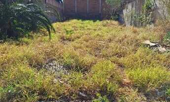 Imagem 6: Vendo Lote Jardim das Margaridas Goianira