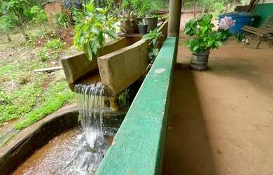 Imagem 2: Vende-se chácara de 16 mil metros em Trindade-GO